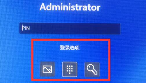 win11默认登录选项怎么设置