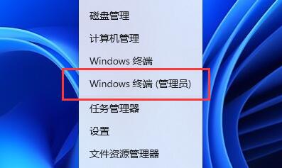 Win11照片查看器闪退怎么办？