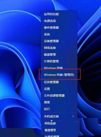 Win11安装WSA教程