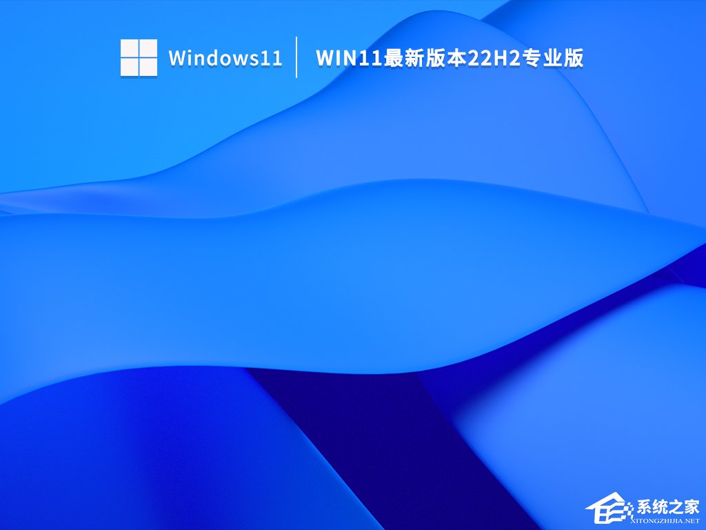 Win11安装选哪个版本？