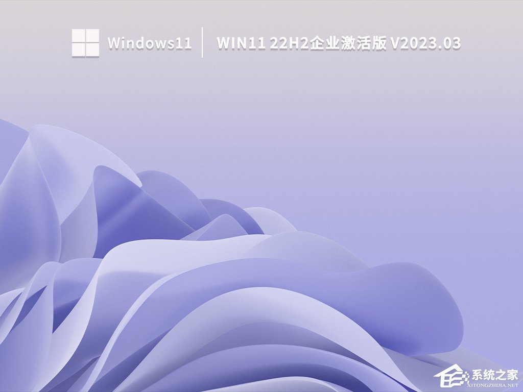 Win11安装选哪个版本？