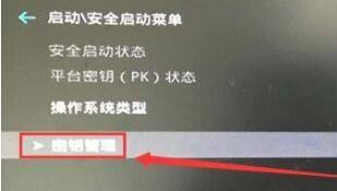 Win11玩fifa23提示未启用安全启动怎么