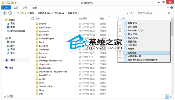  Win8.1文件夹如何筛选某一类型文件