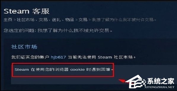 Steam在使用您的浏览器cookie时遇到困