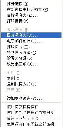 WinXP如何保存网页图片